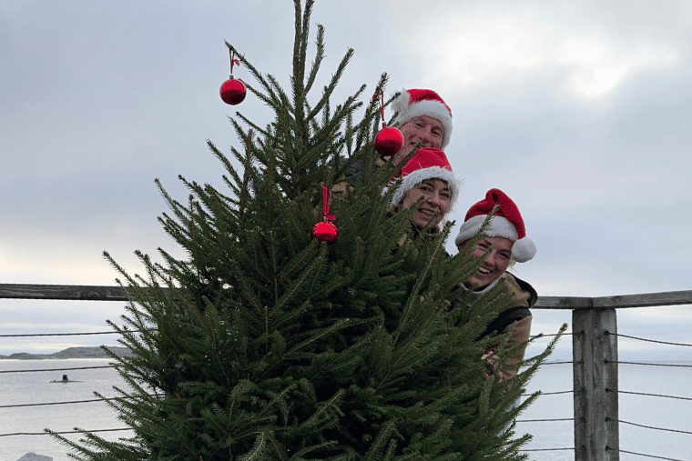 Lucka 24, God jul, Vrångö