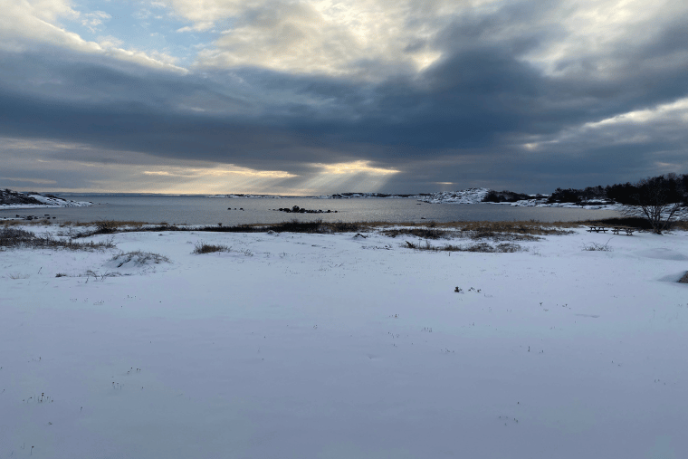 Lucka 8, nötholmen, vrångö