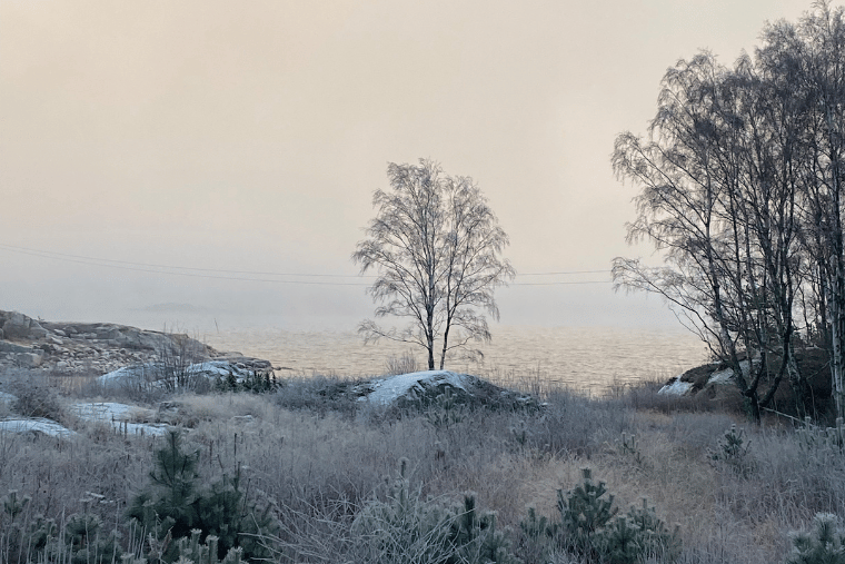 Lucka 9, kyrkogårdsviken, utsikt, vrångö