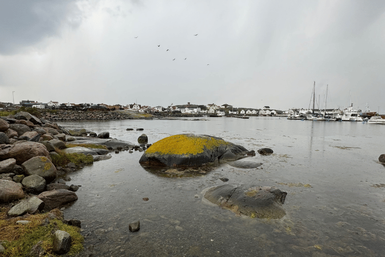 Vrångö hamn, Kajkanten, Vrångö