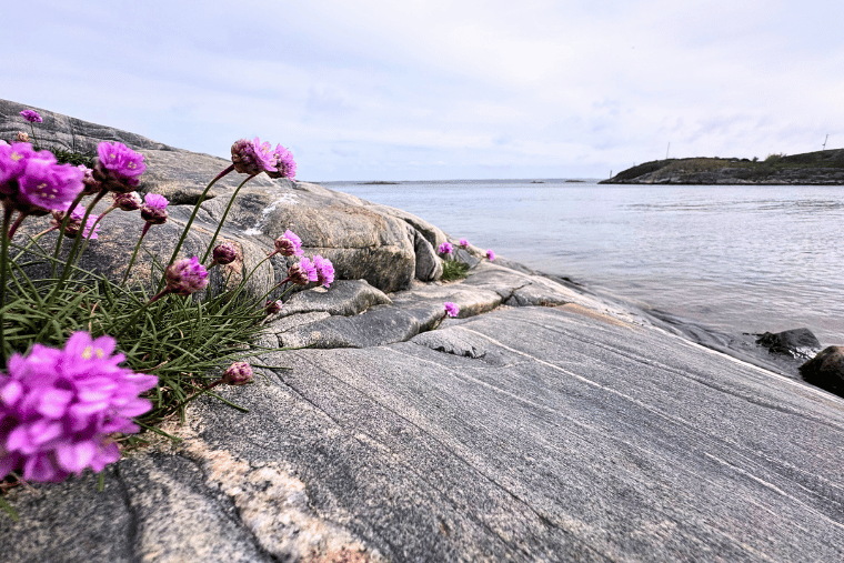 Valborg, Vrångö, göteborg