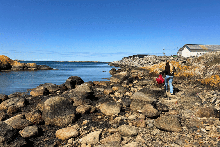 Ploggadag 2025 Vrångö