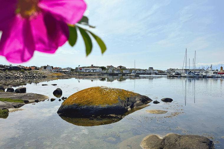 Midsommar Vrångö Kajkanten